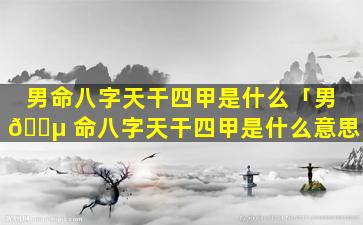 男命八字天干四甲是什么「男 🐵 命八字天干四甲是什么意思」